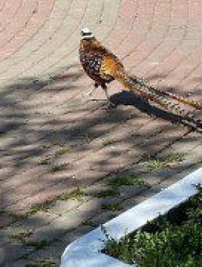 photo_2022-05-07_20-28-19