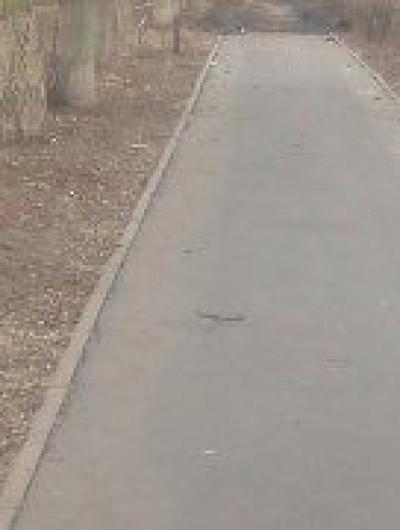 foto-2 (1)