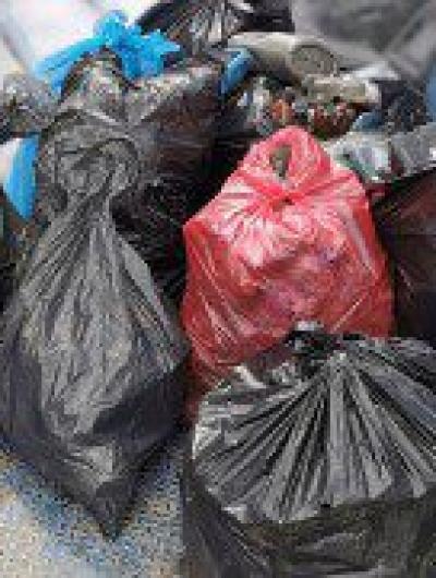 экосубботник 1