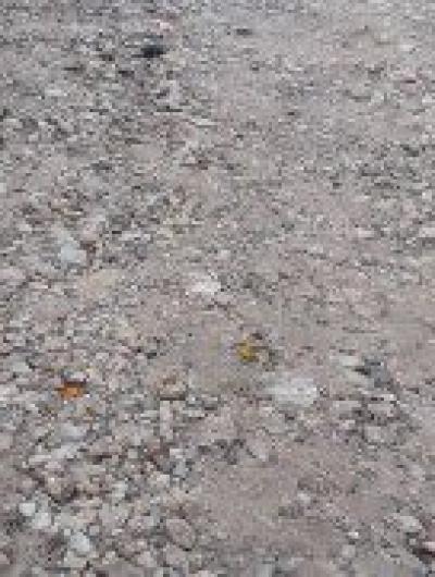 асфальтовая дорога 3