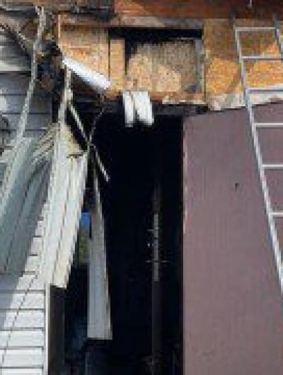 семьяМизгиных