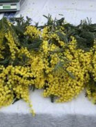 photo_2026-03-05_09-51-36