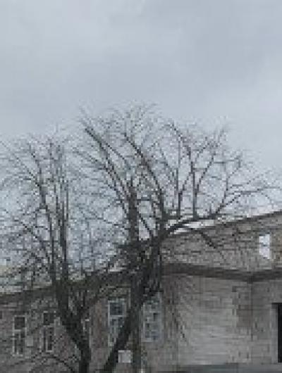 реставрация(3)