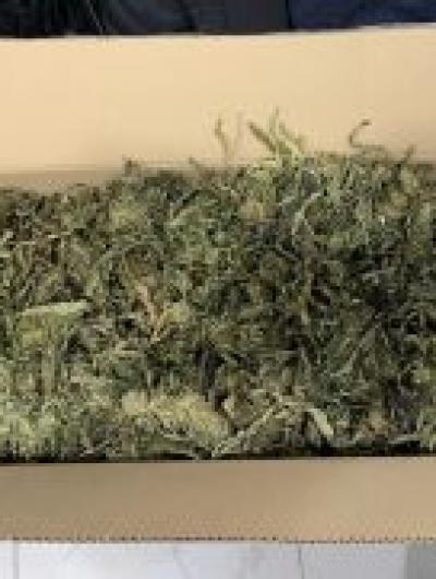 IMG_20260119_154739_373