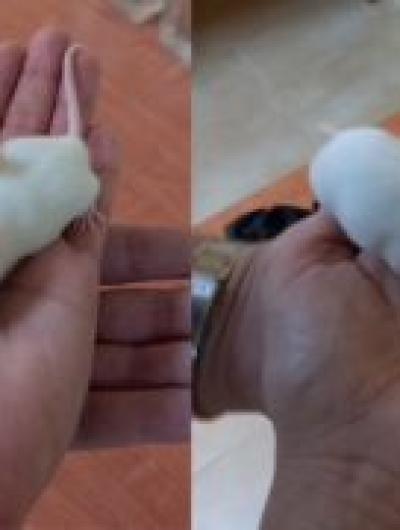 image-31-03-26-03-53