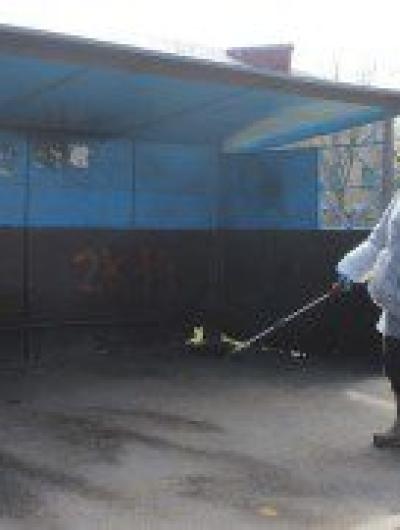сосково