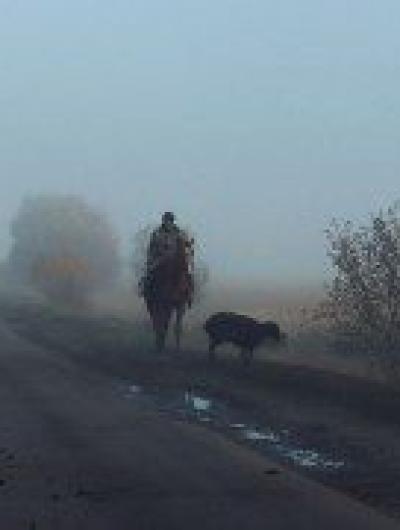 туман