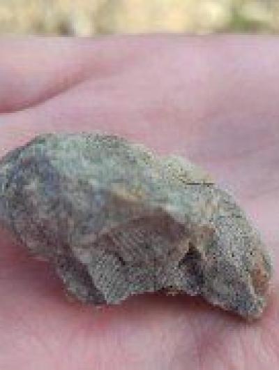 Ученый Мценска 2