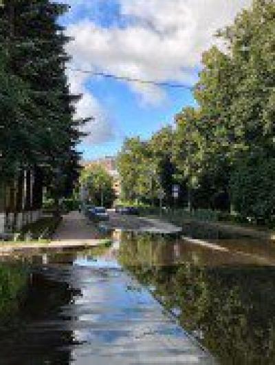 23642B03-4B1E-4541-AB56-D7A2F8402B20