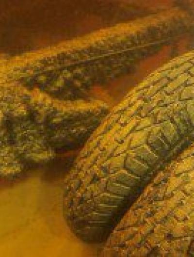 полуторки(1)_1