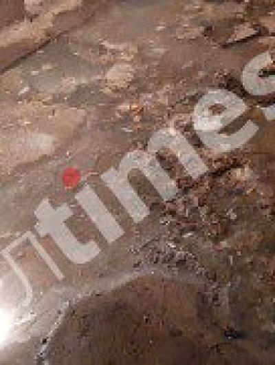 photo_2023-01-31_15-36-11