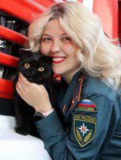 кошки