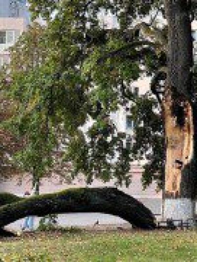 photo_2023-10-02_09-41-52