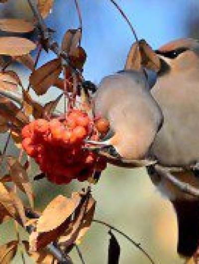 photo_2025-10-28_18-51-26 (2)