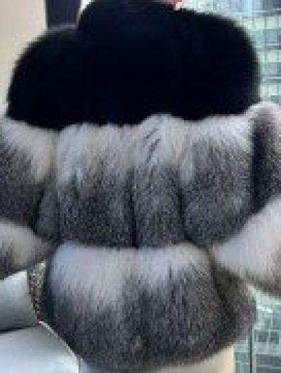 арктическая лиса 2