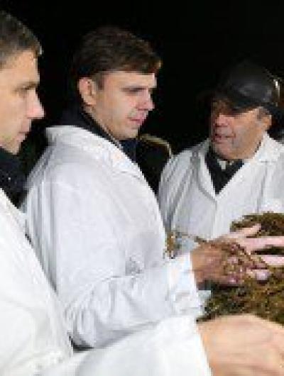 Пониткин 3