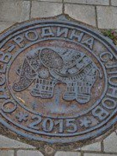 Родина слонов