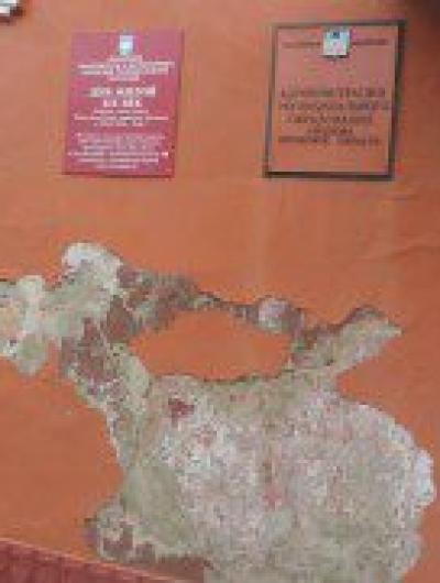 администрация