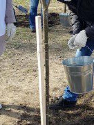 IMG_20200411_112851_407