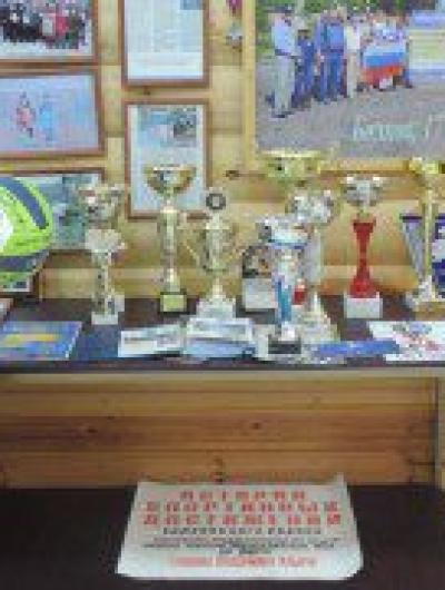 диконова (1)