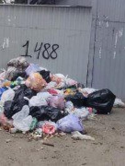 свалка возле дома