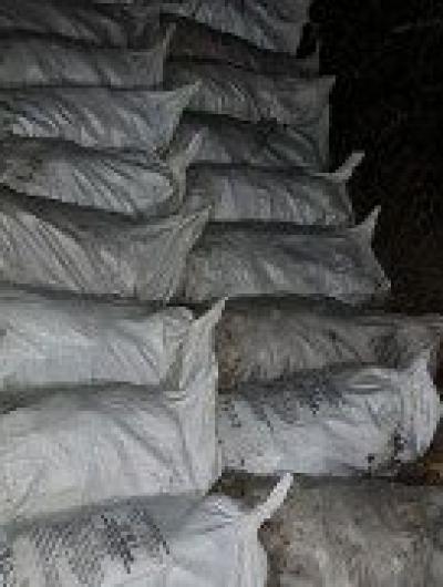 Кукуруза (3)