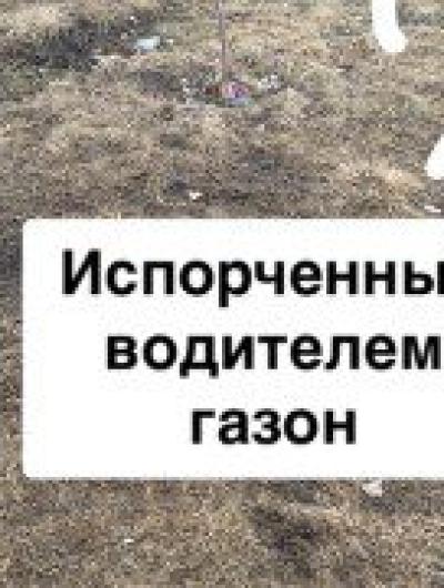 Газон