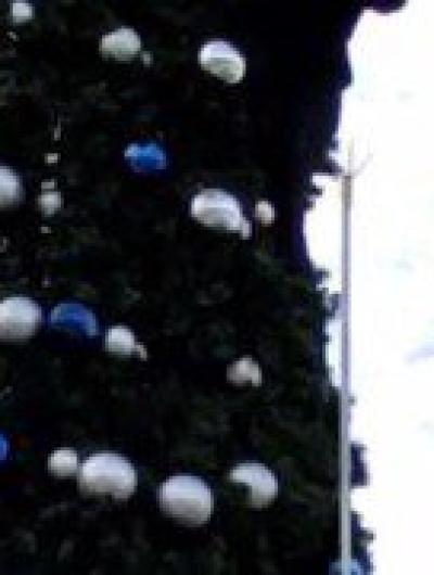 елка в детском парке