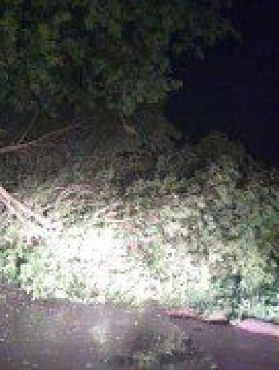 Дожди и штормовой ветер оставили без света сотни жителей Орловской области