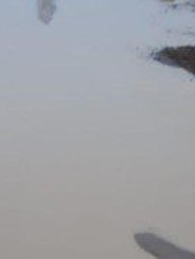 вода 2