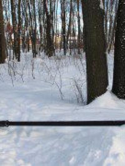 парк ботаника 1