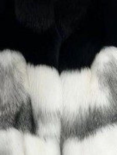 арктическая лиса.le7VCVszzePzjtb0Rjp8GuQI1FJG7TxYFv2W5a56QvY