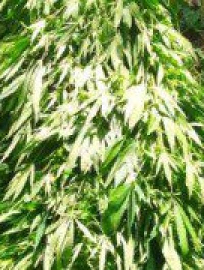 IMG-20230928-WA0015-800x600