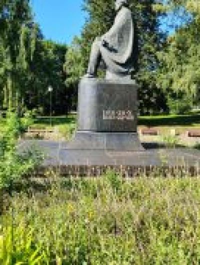 сорняки