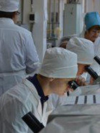 цех полупроводниковых приборов