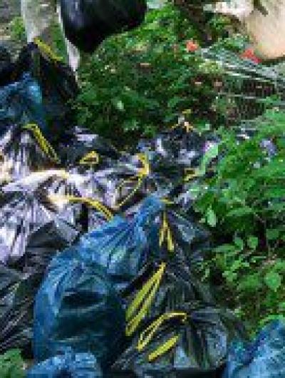 d6d05f2b-bfeb-44a6-a9f7-71f943cdd2ef