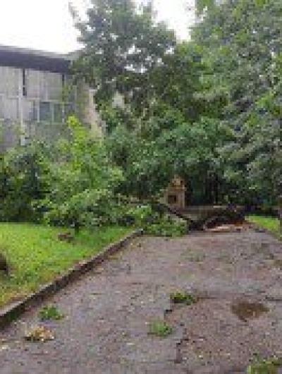 469411E4-775E-4196-A695-124A53824239