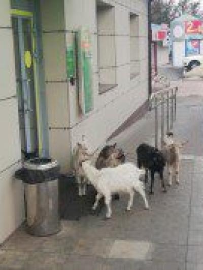 photo_2023-10-01 13.59.02