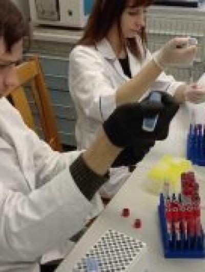 image-31-03-26-03-53-1