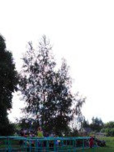 фото 6