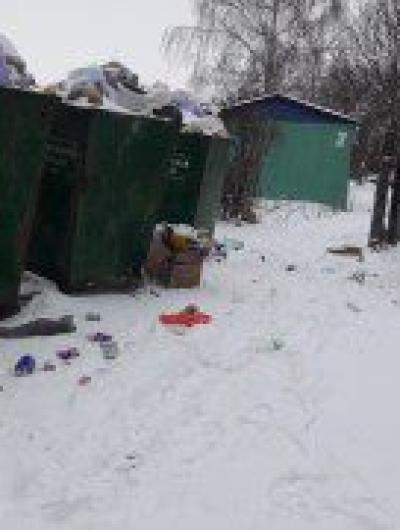 мусор сосково1