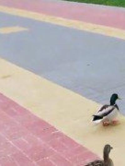 photo_2022-05-07_20-28-20