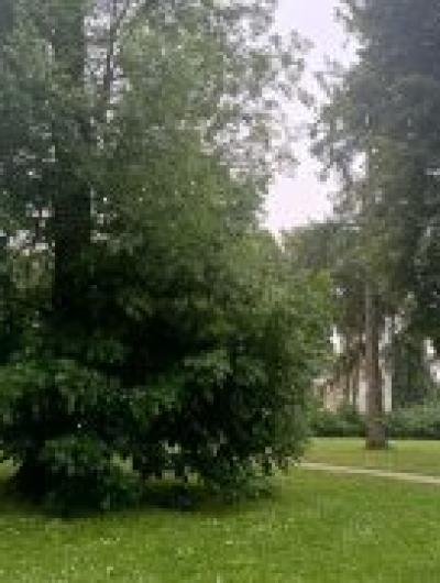 UH54vTNfT6tzZTmxdImNNuhOSbHwMCW59kiyD84EsS6qUVjP4MwFpM6ZPfLVyrqAkcSr9e_BxlHKP3V2X09bE-TP.jpg