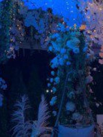 IMG_20200831_083622_925