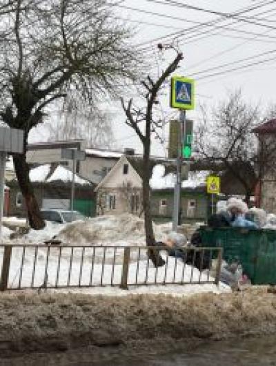 Мусорный коллапс в Заводском и Железнодорожном районах в «Зелёной Роще» объяснили неубранным снегом 2