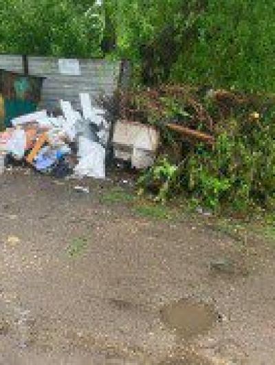 C069E755-1605-4EE7-820E-F419CF0736CD