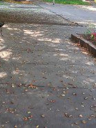 территория