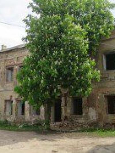 Васильевская 27