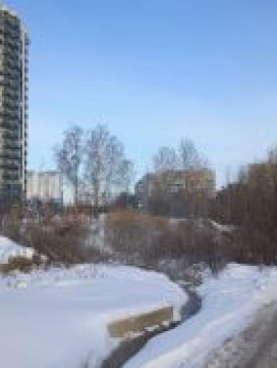 photo_2026-01-18_12-51-10