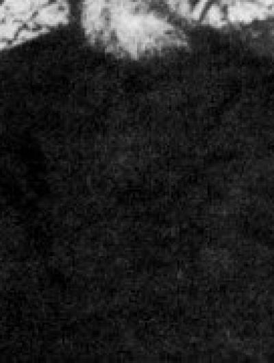 Георгий Коссов